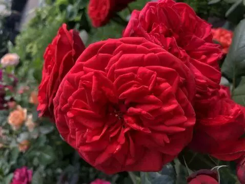 MiniMax Hailuo-02 (pro) video