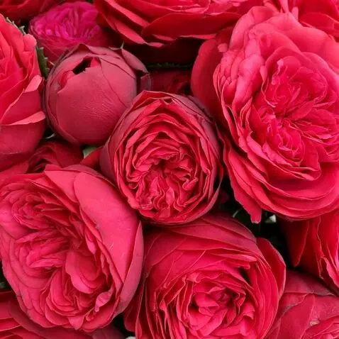 MiniMax Hailuo-02 (pro) video