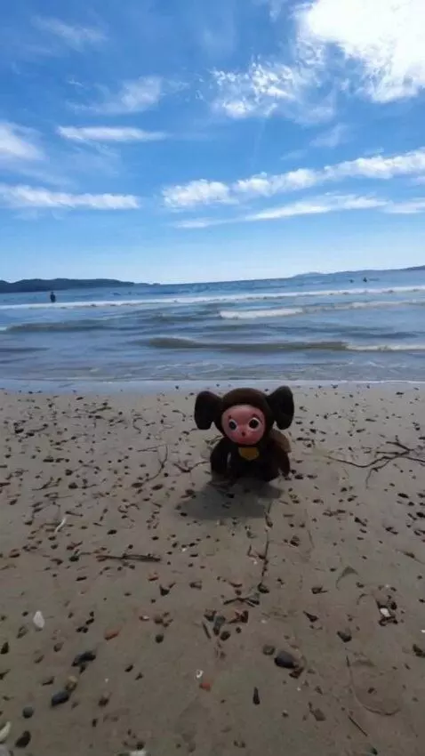AI Video from prompt: Run forward by sand