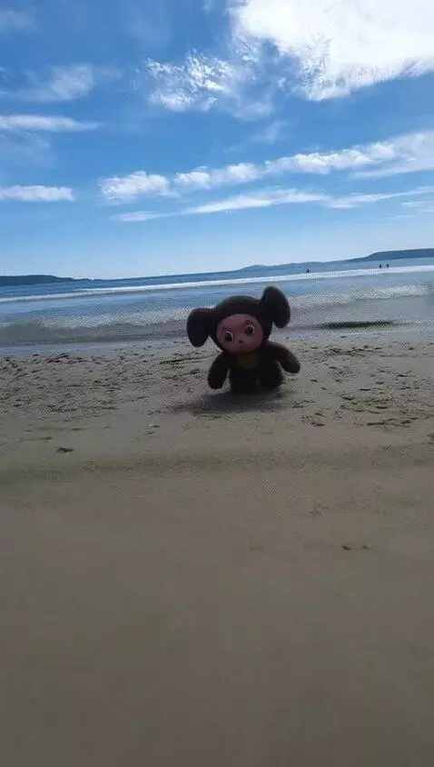 AI Video from prompt: Run forward by sand
