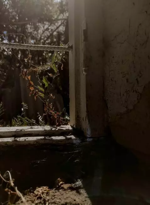 AI Video from prompt: "Animate this image realistically, keeping the c