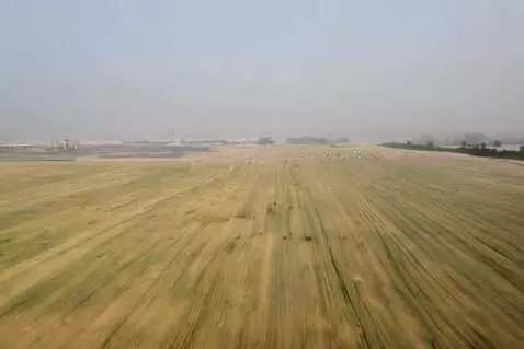 AI Video from prompt: ديو اآسمار   لكلب بوكل حجاره تطلع منها النار بعد