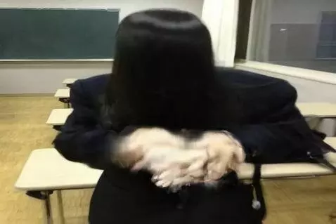 AI Video from prompt: [Shake][Shake]