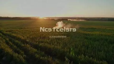 AI Video from prompt: A cinematic advertisement of an organic chicken 