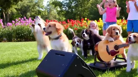 AI Video from prompt: Puppies Play guitar