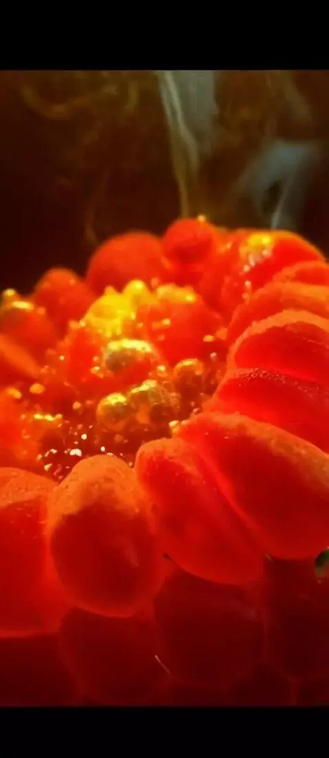 AI Video from prompt: Make a fire from this picture, duration about 4-