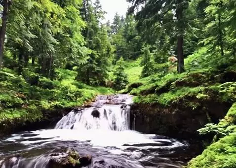 AI Video from prompt: the camera slowly moves forward, and from the wa