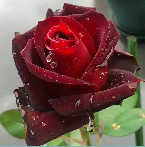 MiniMax Hailuo-02 (pro) video