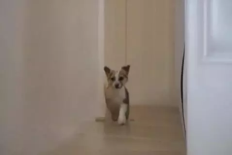 AI Video from prompt: Создай динамичное, тёплое и визуально захватываю