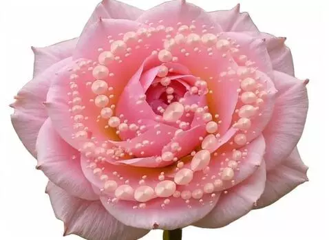 AI Video from prompt: the bubbles are moving in circle