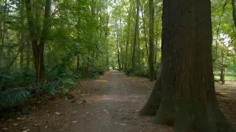 AI Video from prompt: Video ini lagi jalan ke taman