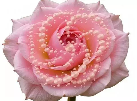 AI Video from prompt: the bubbles are moving in circle