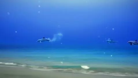 AI Video from prompt: Calm ocean scene with cartoon dolphins slowly sw