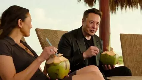 AI Video from prompt: Elon musk hugging a lady  chilling with coconut 