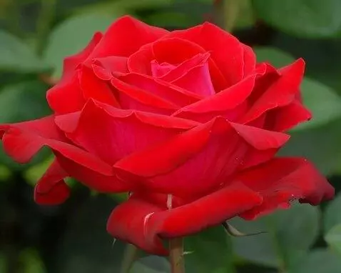 MiniMax Hailuo-02 (pro) video