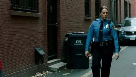 AI Video from prompt: A female with brown hair tied in a ponytail, dre