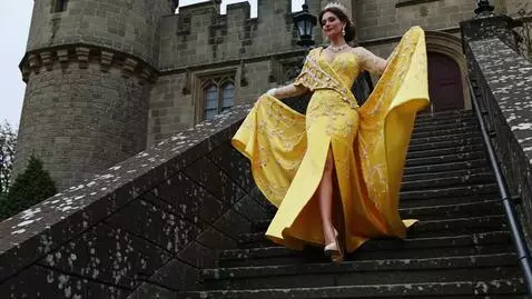 AI Video from prompt: Un  model coboară treptele unui castel, îmbrăcat