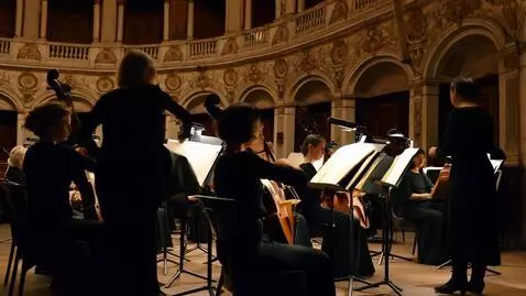 AI Video from prompt: We are at the orchestra pit of old historical It