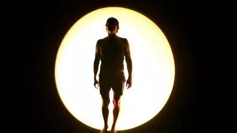 AI Video from prompt: the human is absorbed by the light