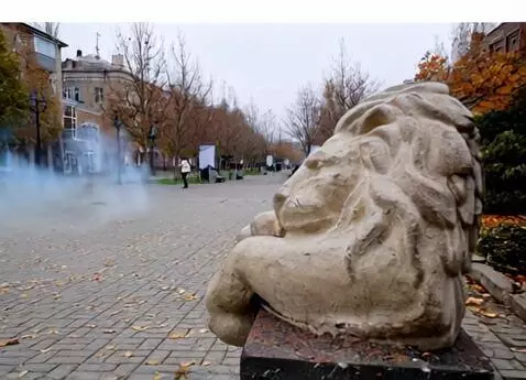 Kling 1.0 (standard) video