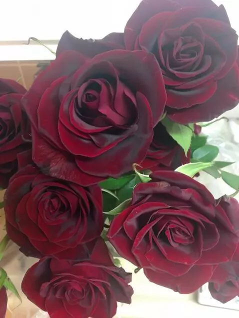 MiniMax Hailuo-02 (pro) video