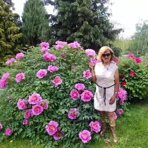 AI Video from prompt: танцет и кружится возле куста цветов