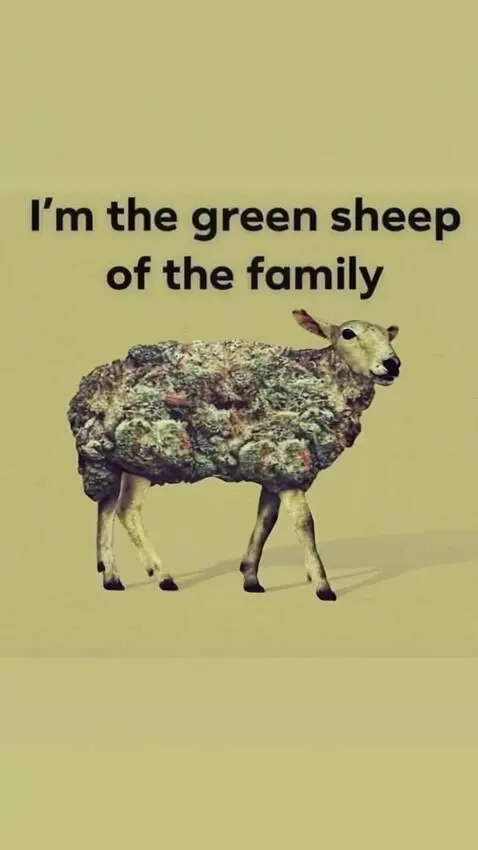 AI Video from prompt: animate this sheep made of cannabis