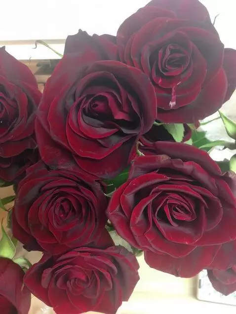 MiniMax Hailuo-02 (pro) video