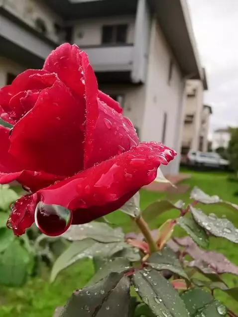 MiniMax Hailuo-02 (pro) video