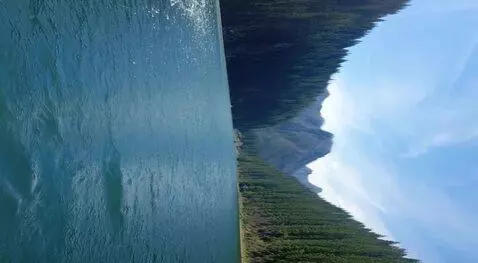 AI Video from prompt: Shark wearing hat