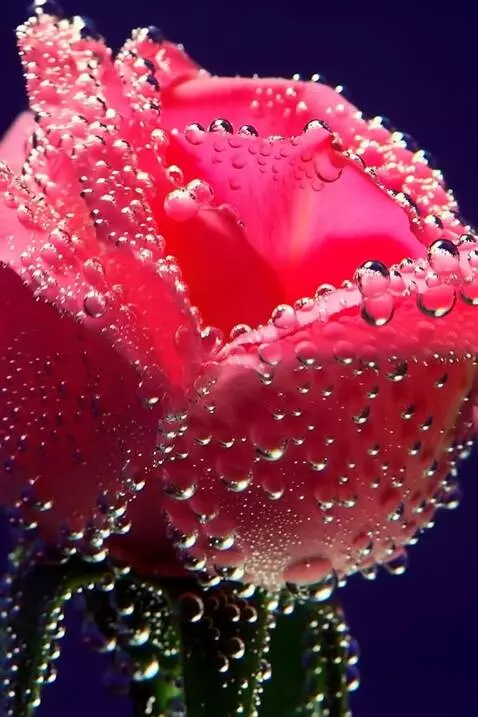 MiniMax Hailuo-02 (pro) video