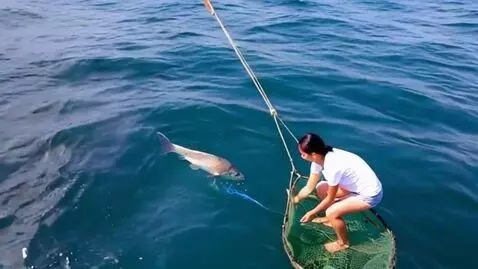 AI Video from prompt: на море волна, рыба шевелится на пидистале, женщ