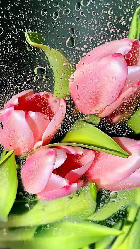 AI Video from prompt: на ветру качается роза в капли воды   сильный ве