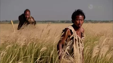 AI Video from prompt: Low-angle shot in the African savanna, golden gr