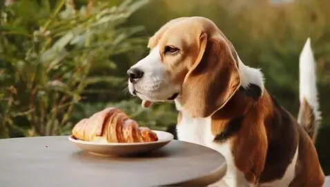 AI Video from prompt: Beagle Martha drinks coffee with croissants in t