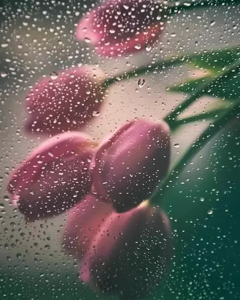 MiniMax Hailuo-02 (pro) video