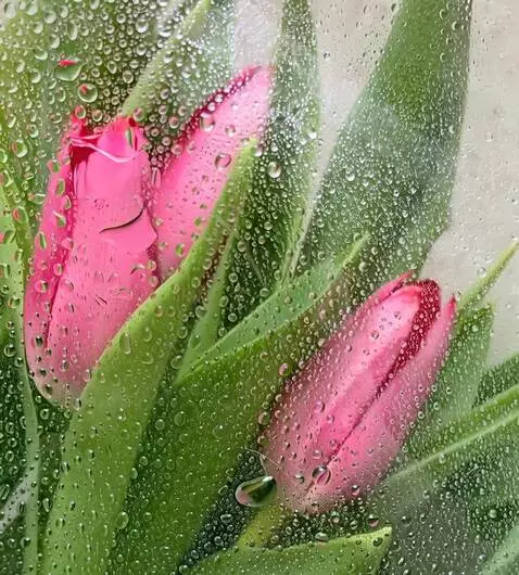 MiniMax Hailuo-02 (pro) video