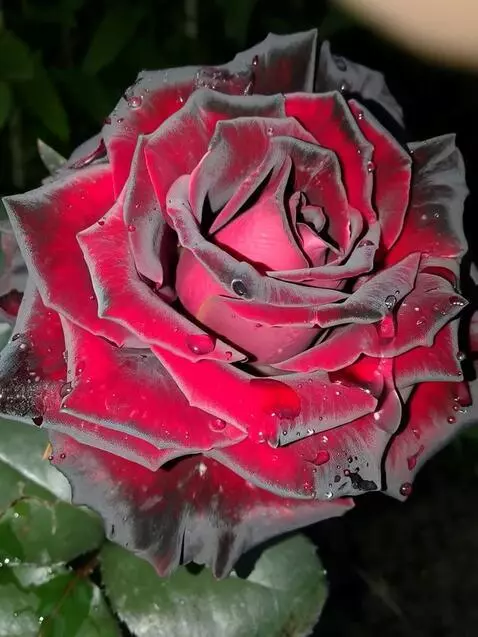 MiniMax Hailuo-02 (pro) video