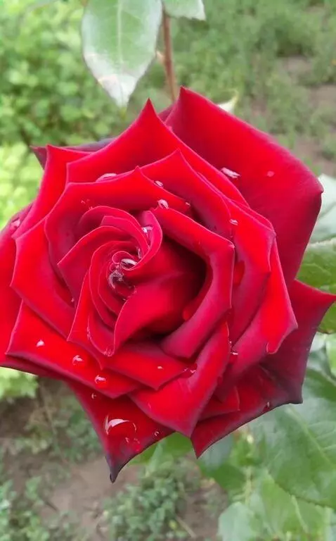 MiniMax Hailuo-02 (pro) video