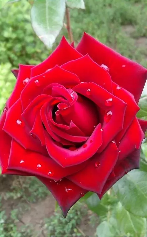 MiniMax Hailuo-02 (pro) video