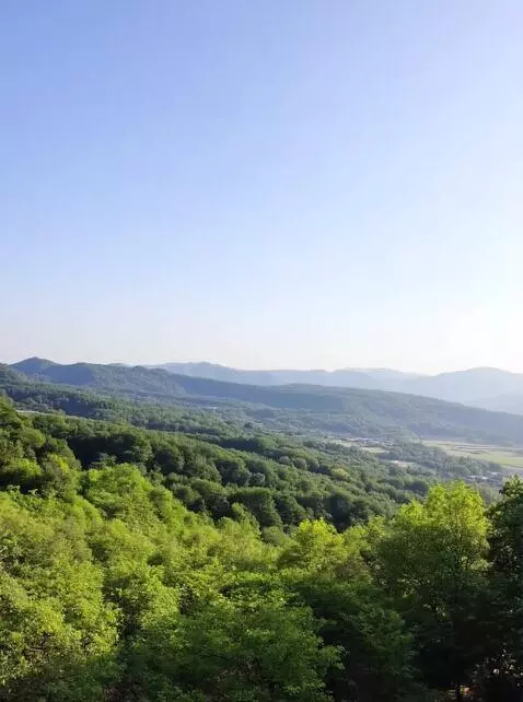 AI Video from prompt: оживи фото  на заднем фоне красивый пейзаж