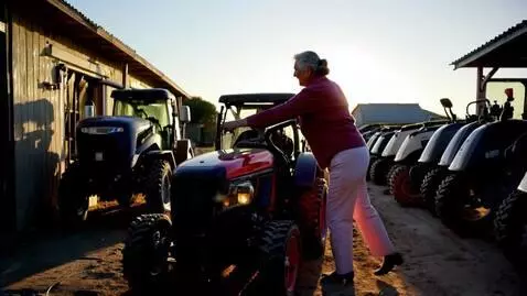 AI Video from prompt: Бабка, уверенно направляясь в свой гараж, с нете