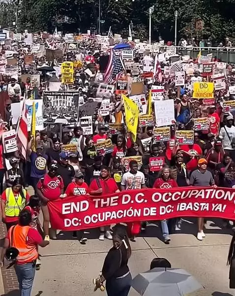 AI Video from prompt: Animate this huge protest in Washington DC