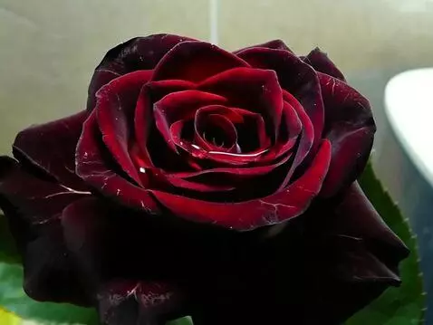 MiniMax Hailuo-02 (pro) video