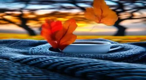 AI Video from prompt: let the leaves fall video