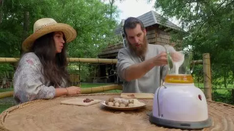 AI Video from prompt: कबूतर और चिड़िया की कहानी  एक जंगल में एक पेड़ प