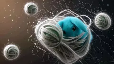 AI Video from prompt: flabbergasted fiber filled fluff floating franti