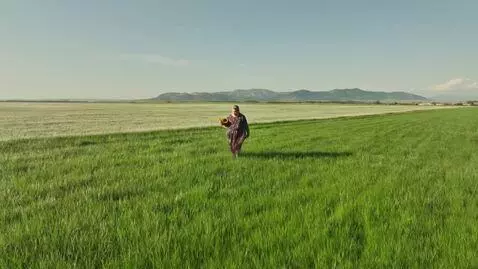 AI Video from prompt: Авто на поле в грези