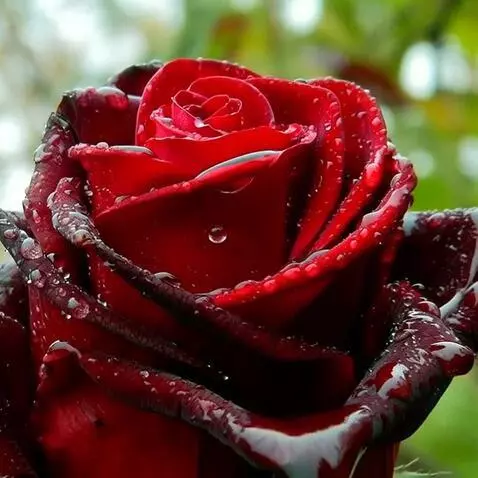 MiniMax Hailuo-02 (pro) video