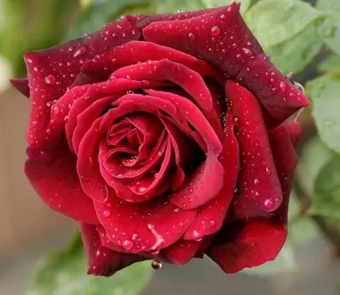 MiniMax Hailuo-02 (pro) video